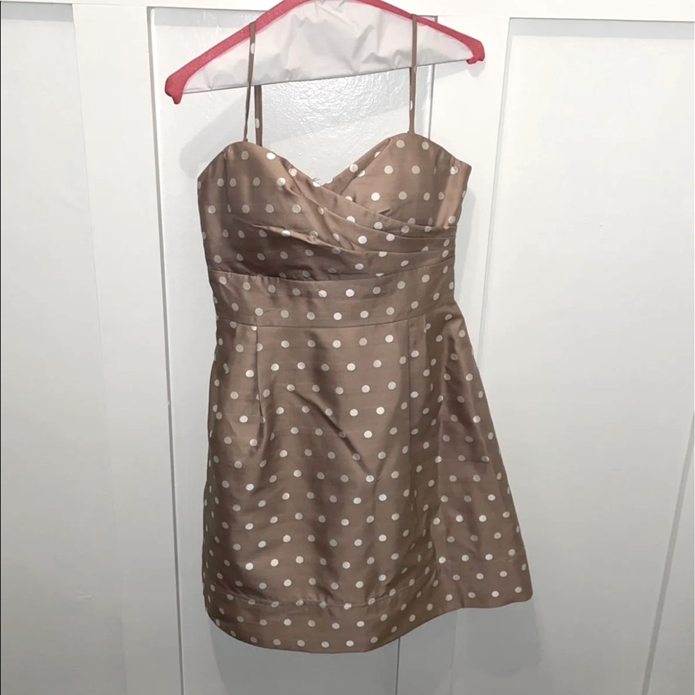 Polka Dot Dress